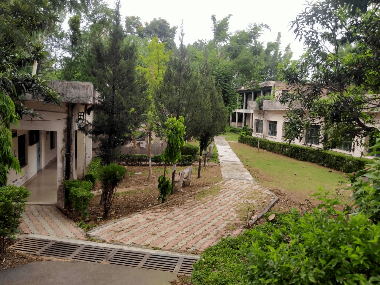 College Campus